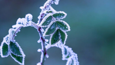 Meteorologii anunță schimbări importante. Cum va fi vremea până pe 12 ianuarie